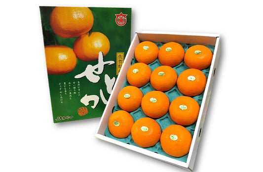 Saga Setoka Orange Gift Box