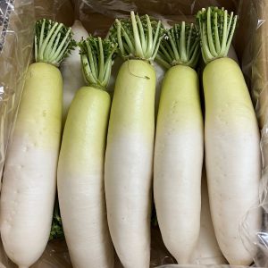 Ibaraki/Kanagawa White Radish (1 kg)