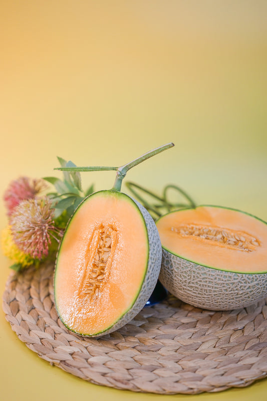 Miyazaki/Kumamoto/Kochi Melon